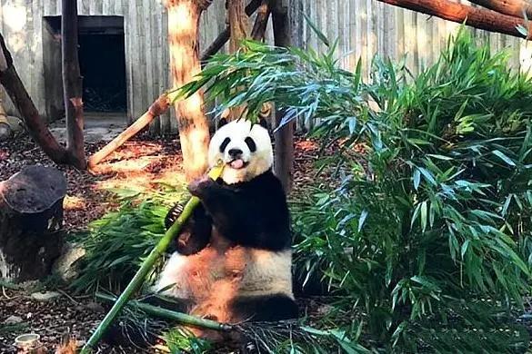 成都周边娱乐推荐：毕棚沟的冰雪世界