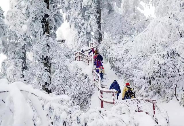 成都周边打雪仗、堆雪人好去处！洪雅瓦屋山